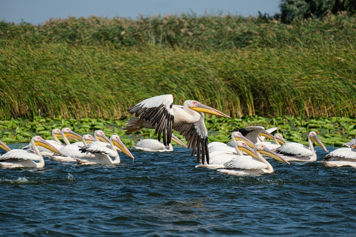 National Park of Nestos Delta and lakes Vistonida-Ismarida