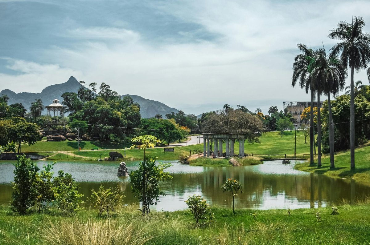 Lagoon Carpa