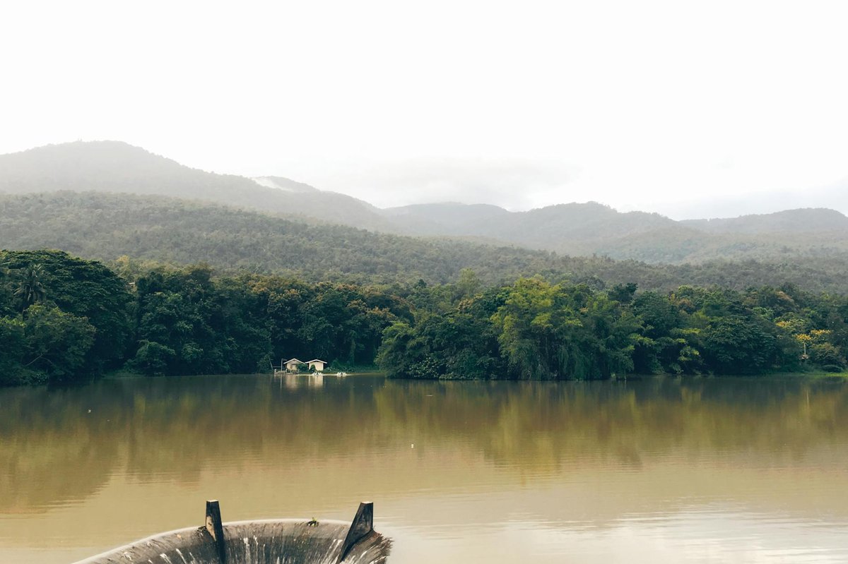 Doi Bi