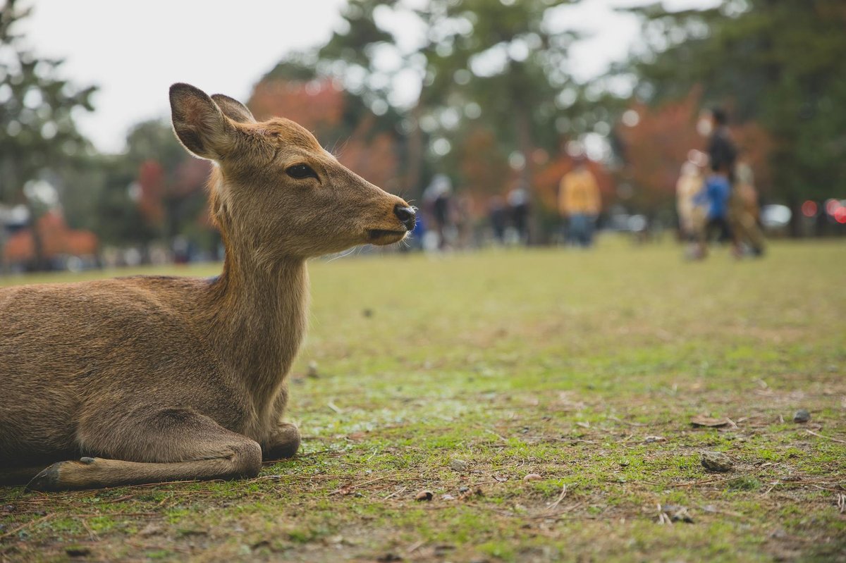 Ashizuri-Uwakai National Park
