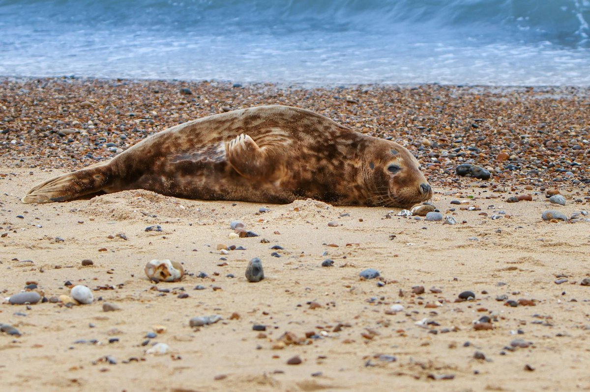 Barkby Beach