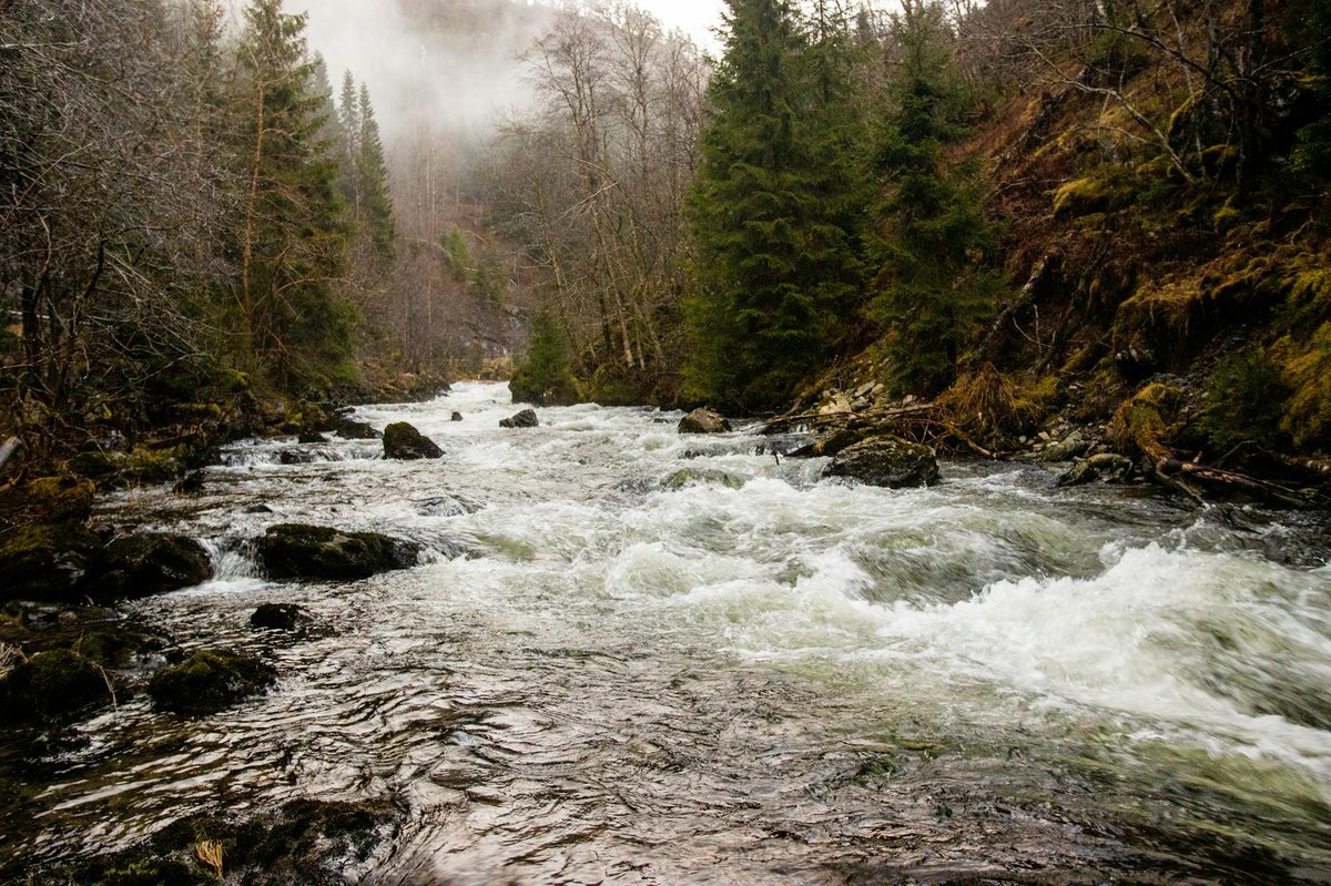 Andfinnfossen