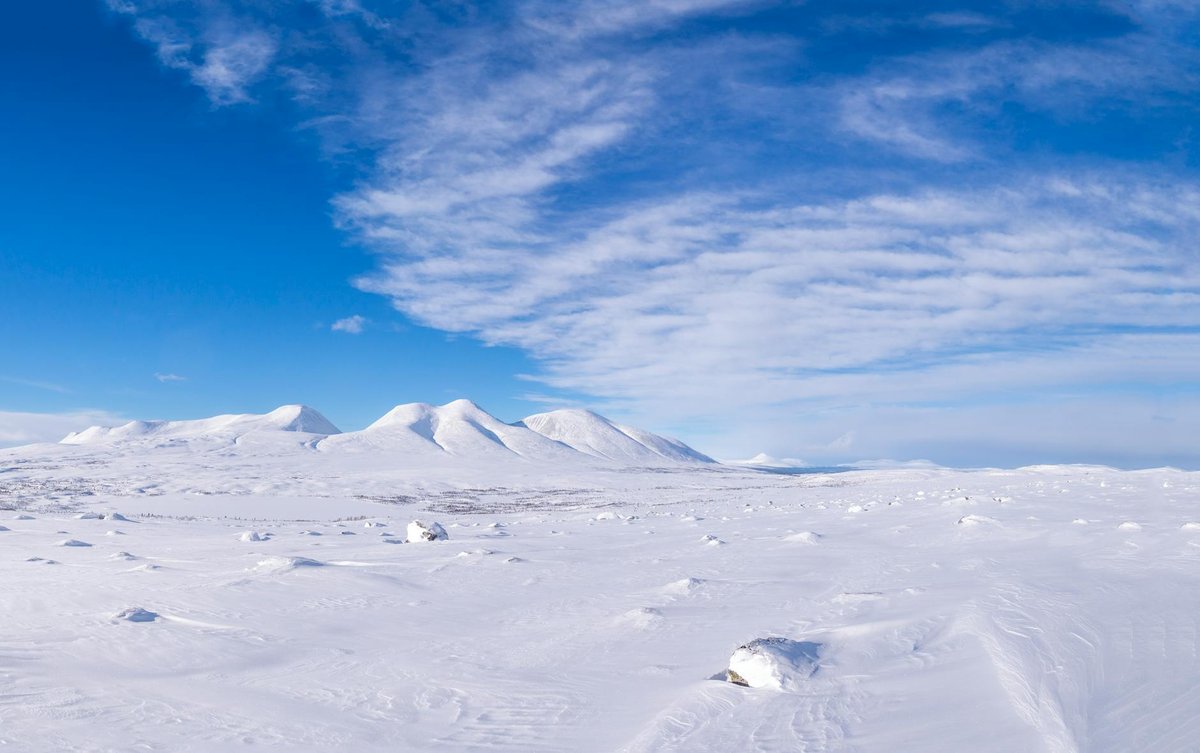 Dovrefjell–Sunndalsfjella National Park
