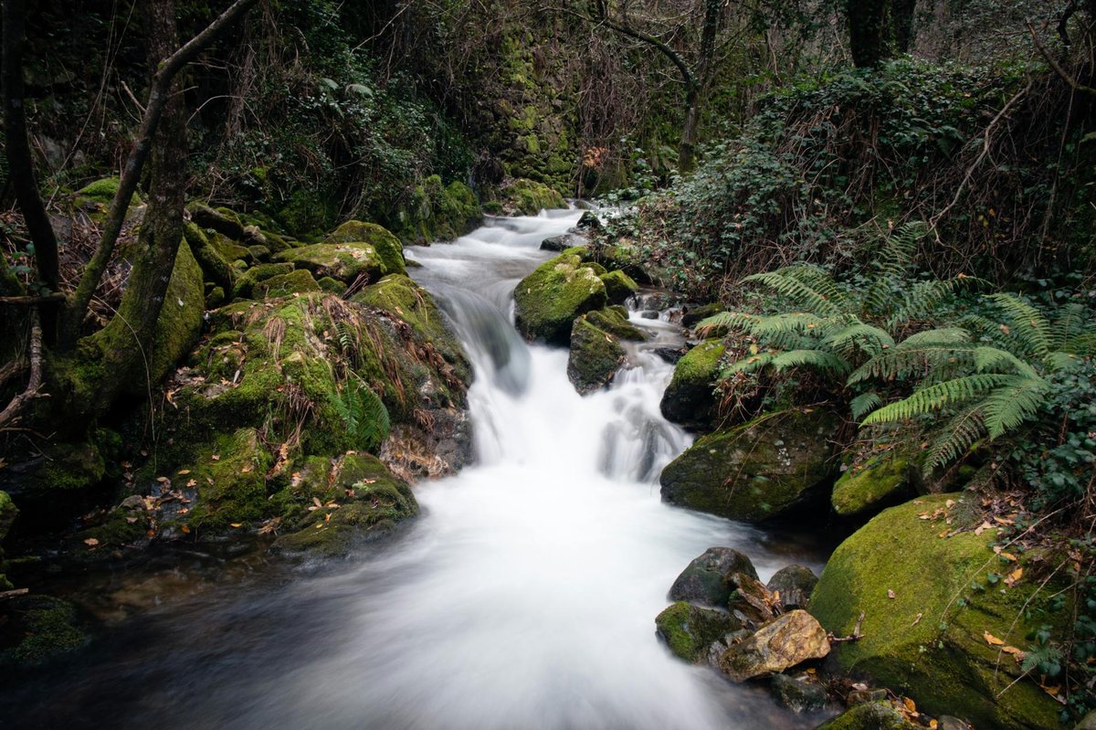 Cascata da Portela do Homem