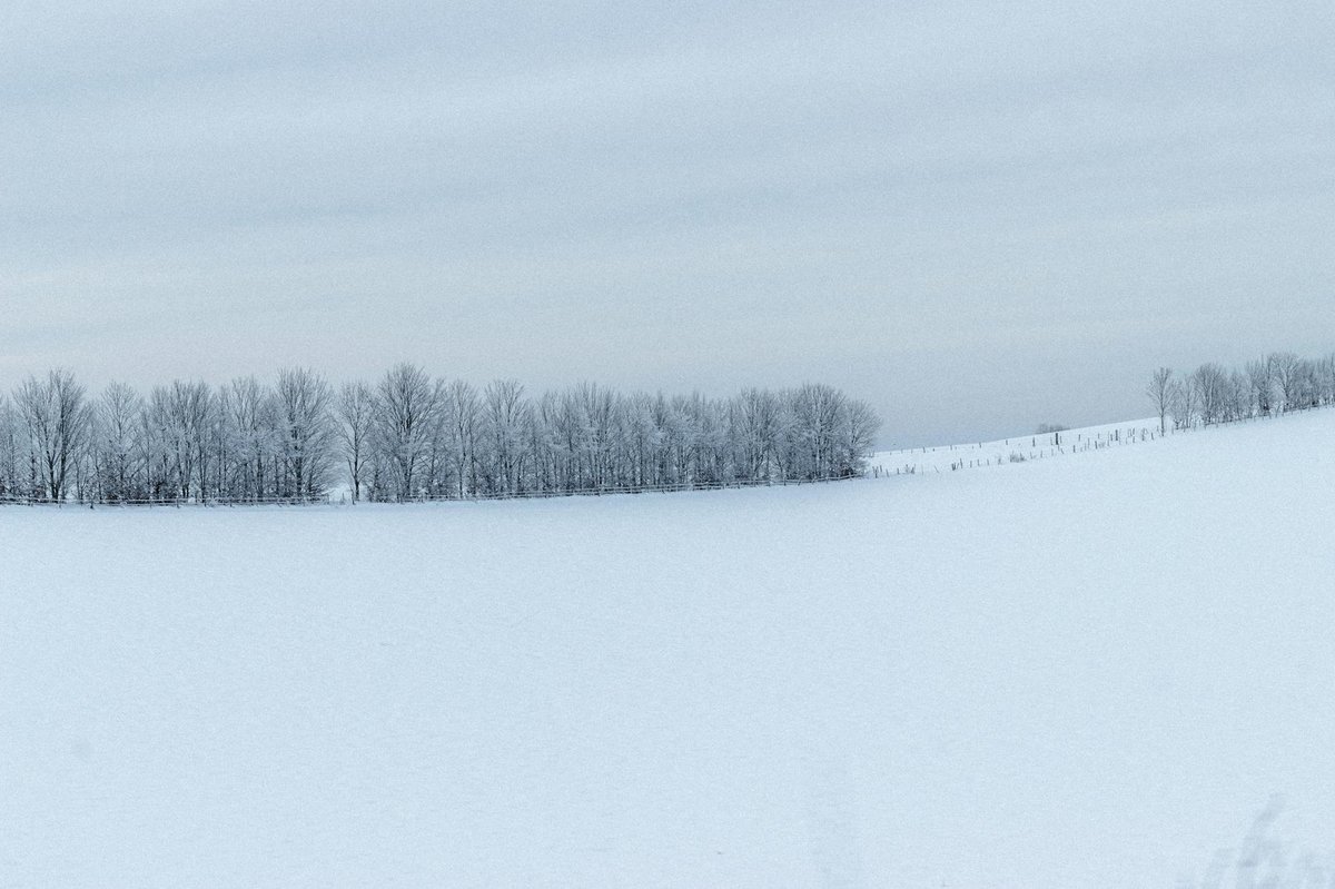 Chamberlin Snowfield