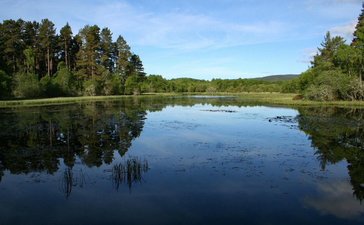 Airthrey Loch