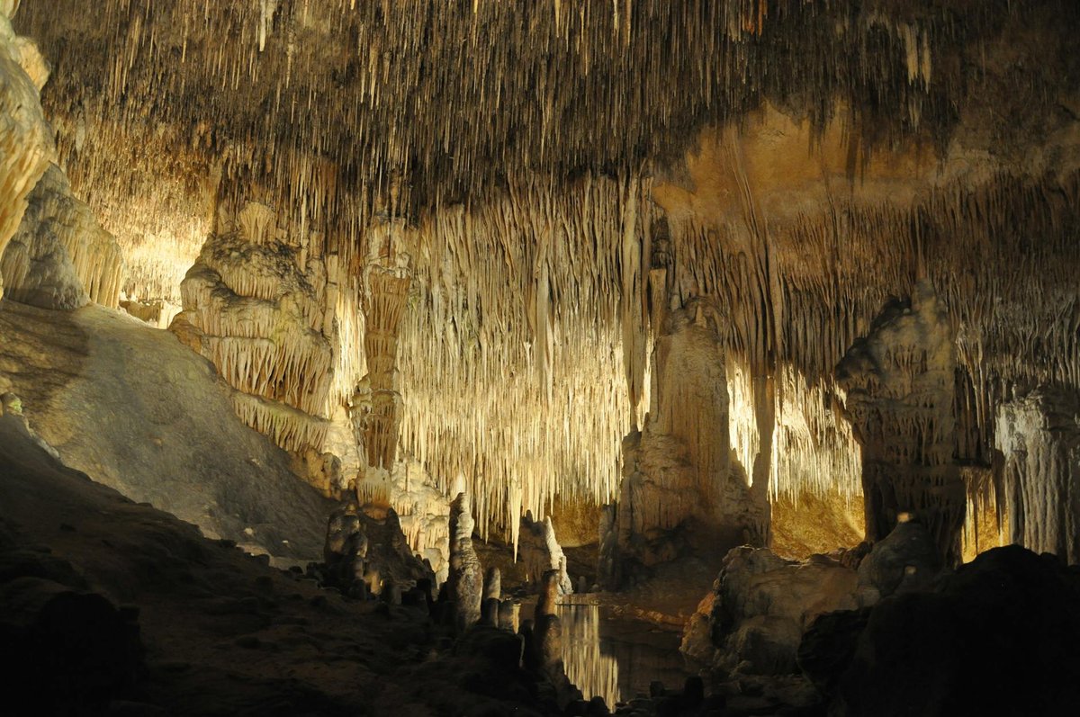 Hang Én (swift cave)