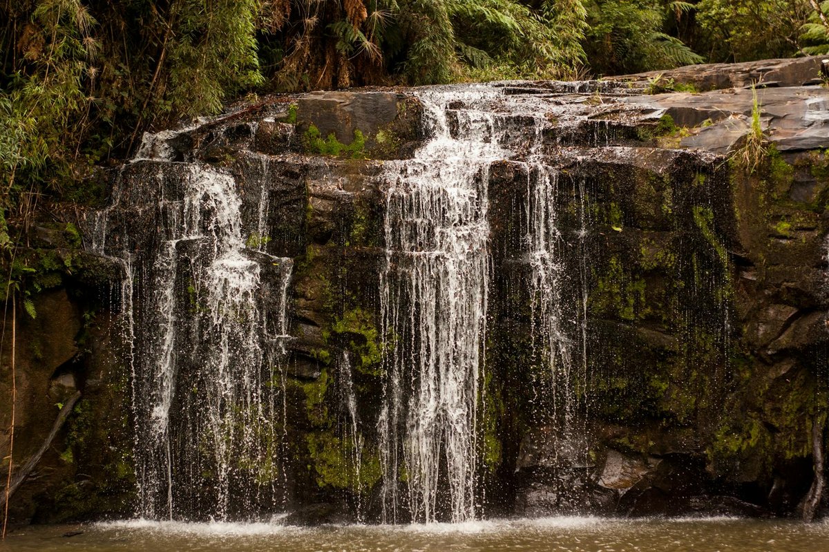 Kohuroa Stream Waterfalls