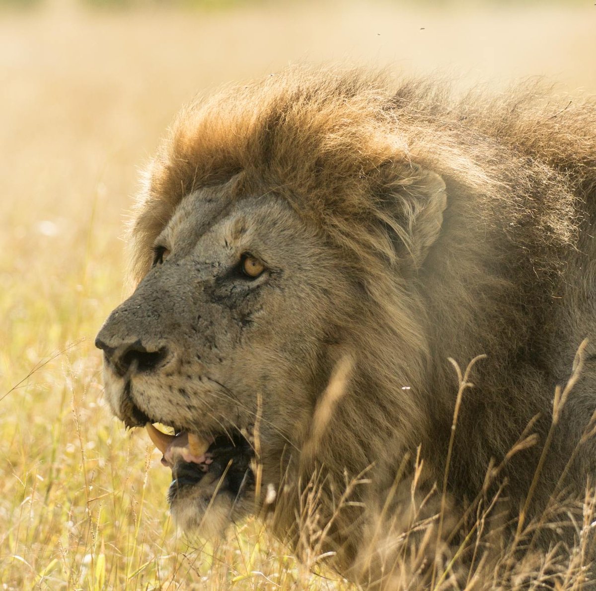 Camdeboo National Park