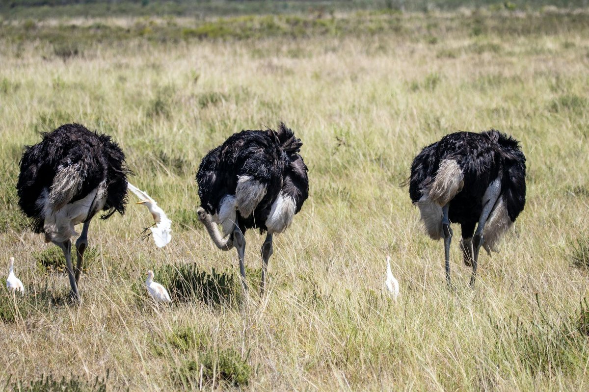 Arrecife Alacranes National Park