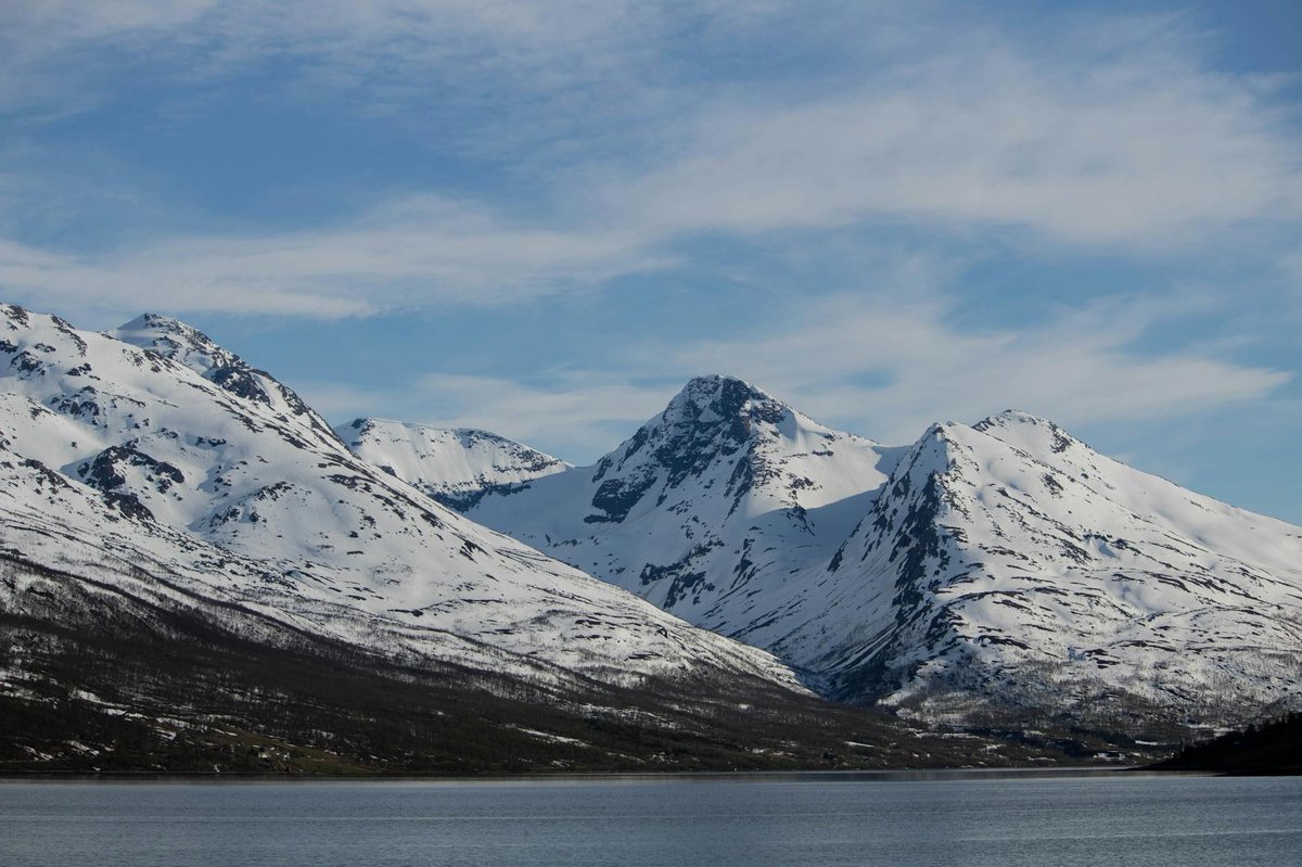 Ausebreen