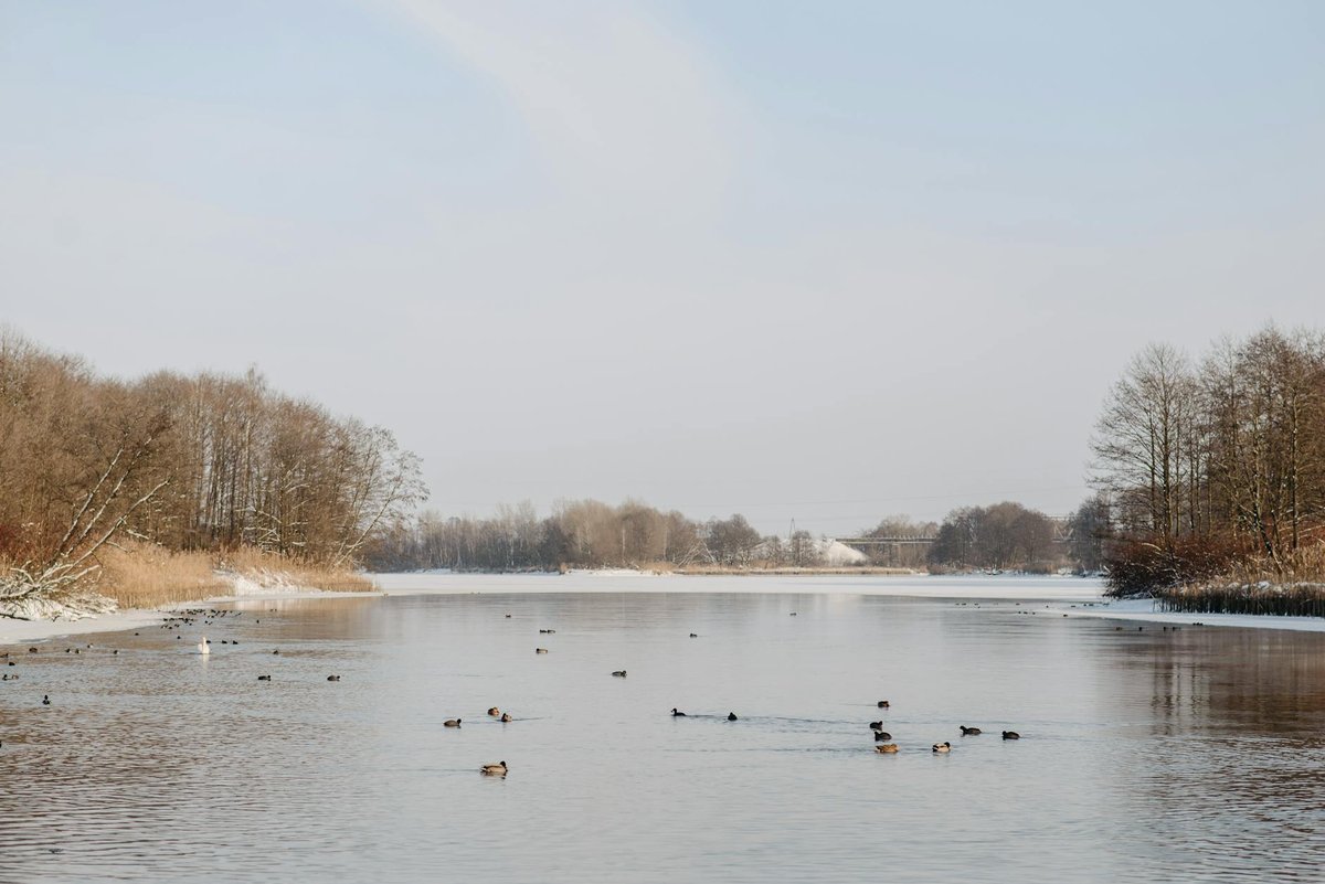 Rust de Winter Reservoir