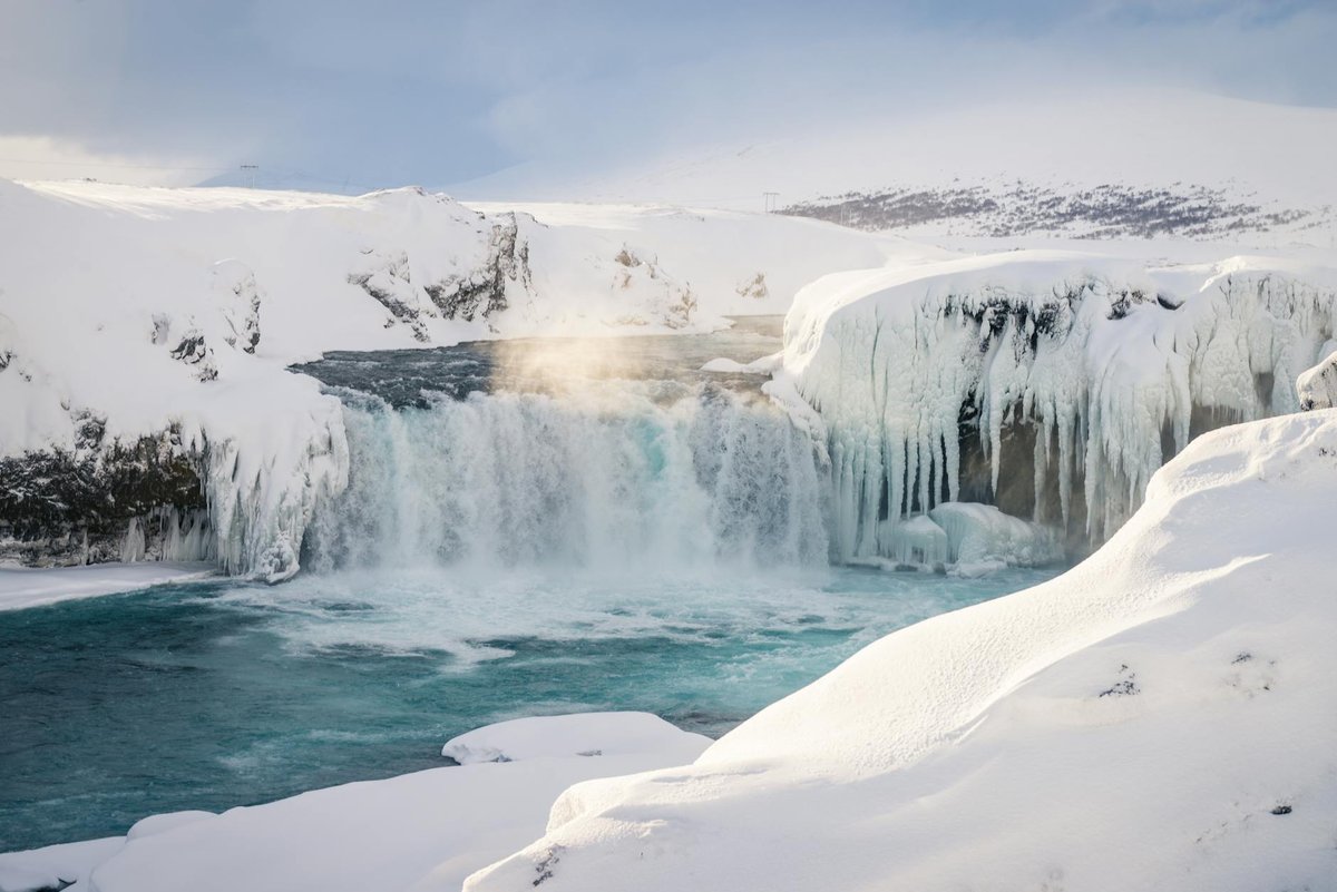 Dalfoss