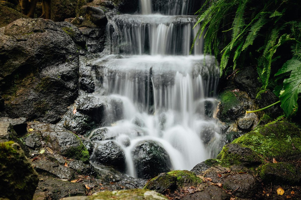 Centennial Gardens Waterfall