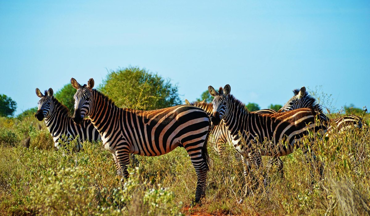 Karian Shola National Park