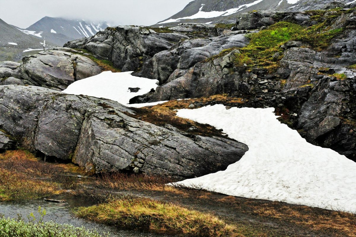 Austfjellfonna