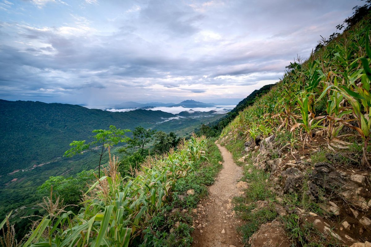 Doi Phu Kha National Park