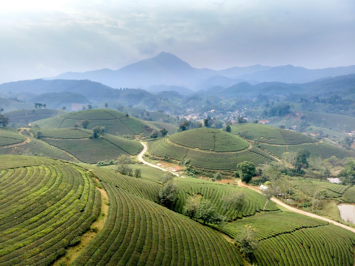 Che Kết
