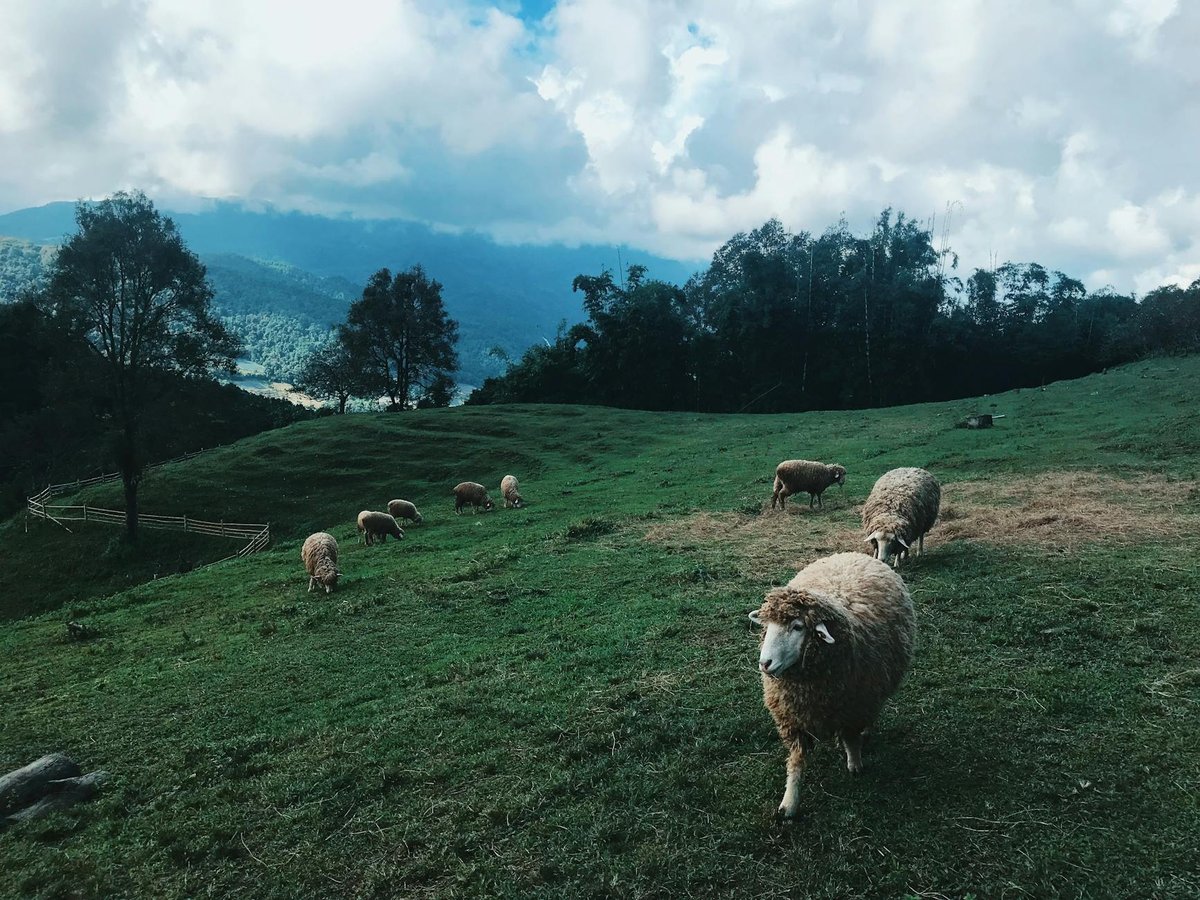 Ang Kep Nam Ban Khok On