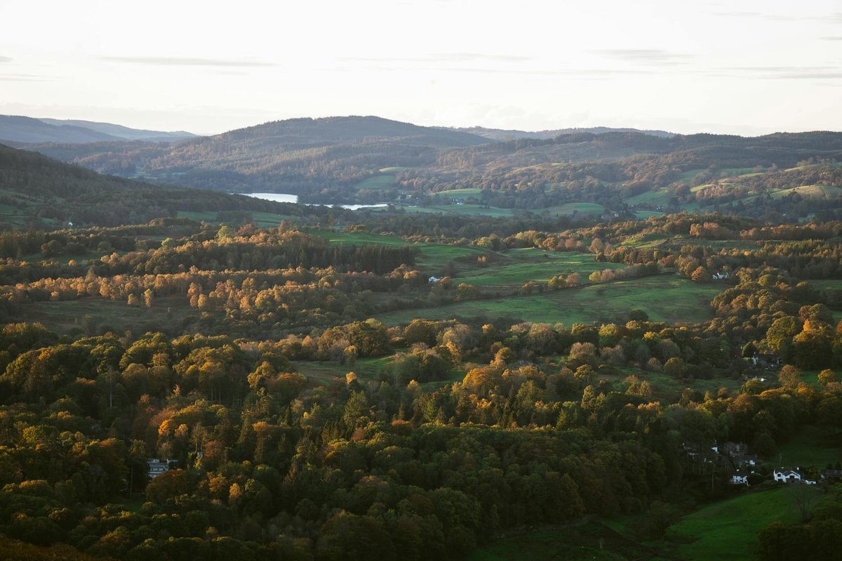 Belvedère