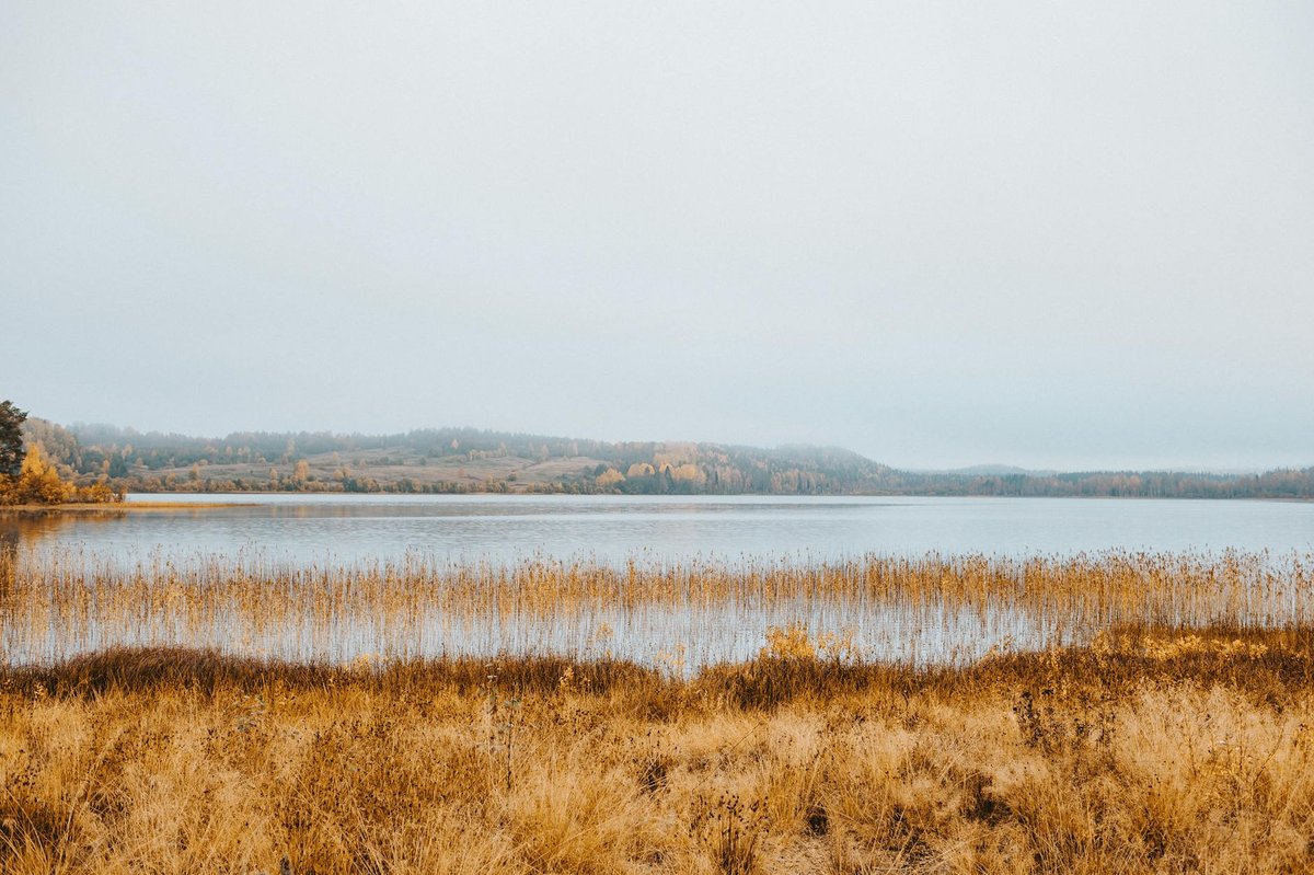 Ardrea Lough