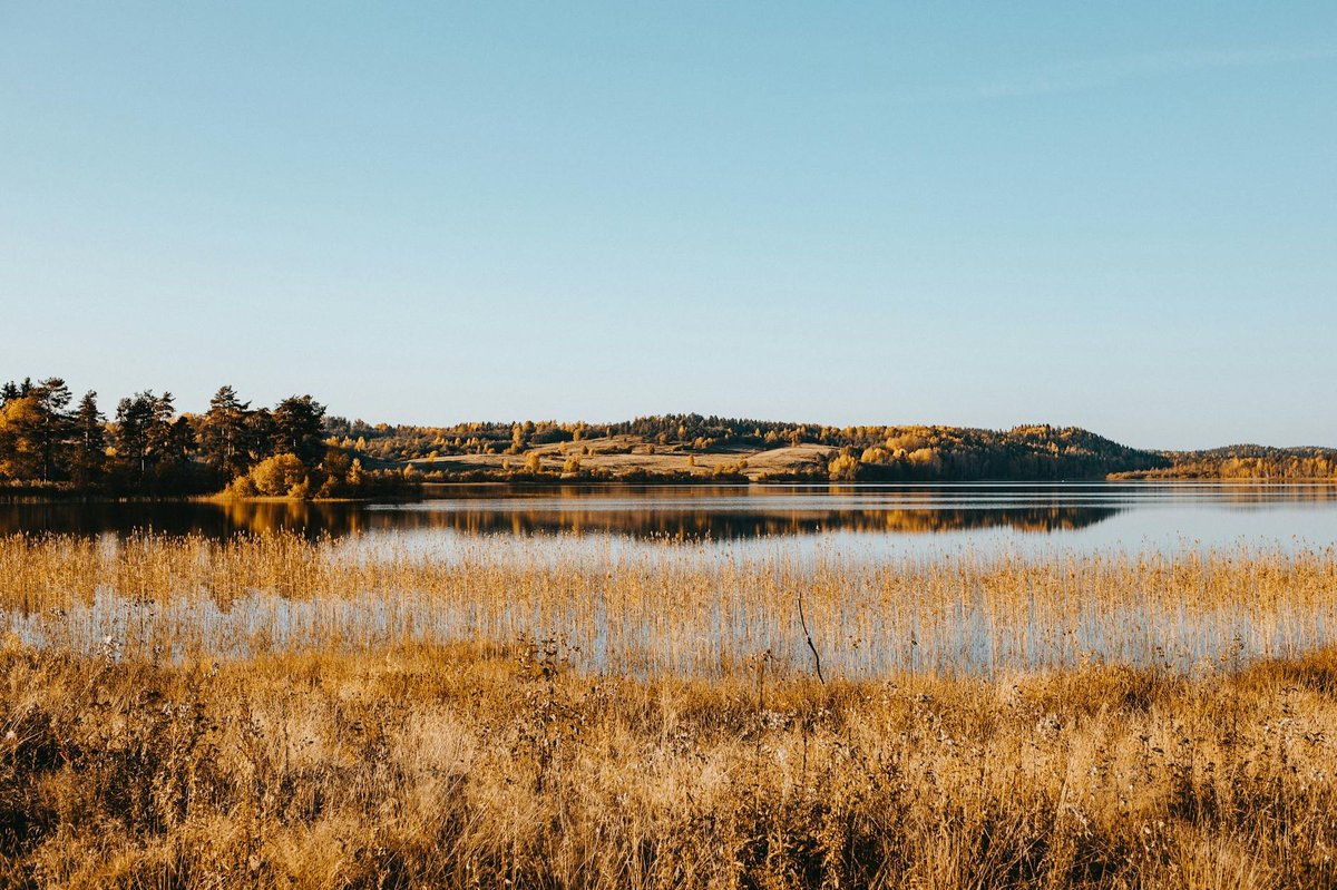 Bergse Plassen