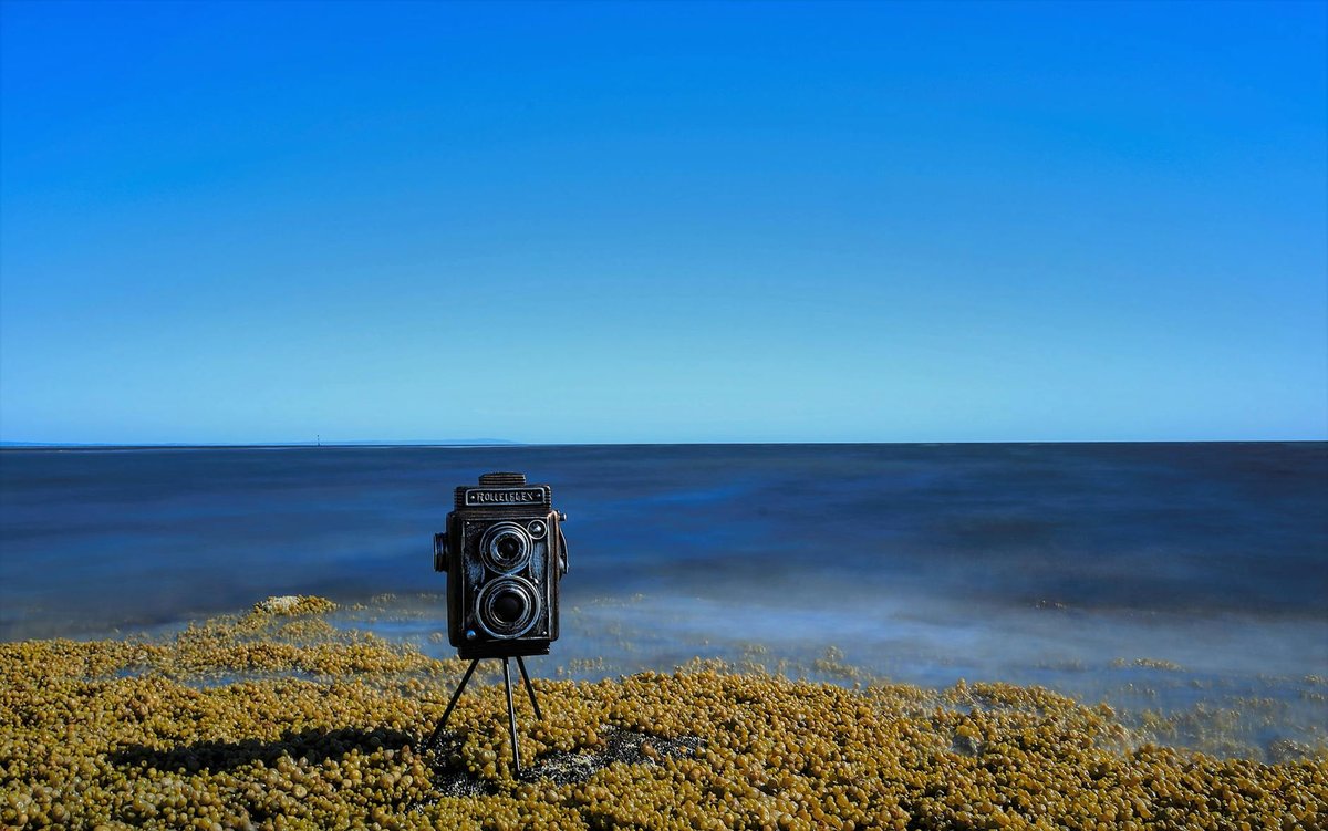 Beaumaris Beach