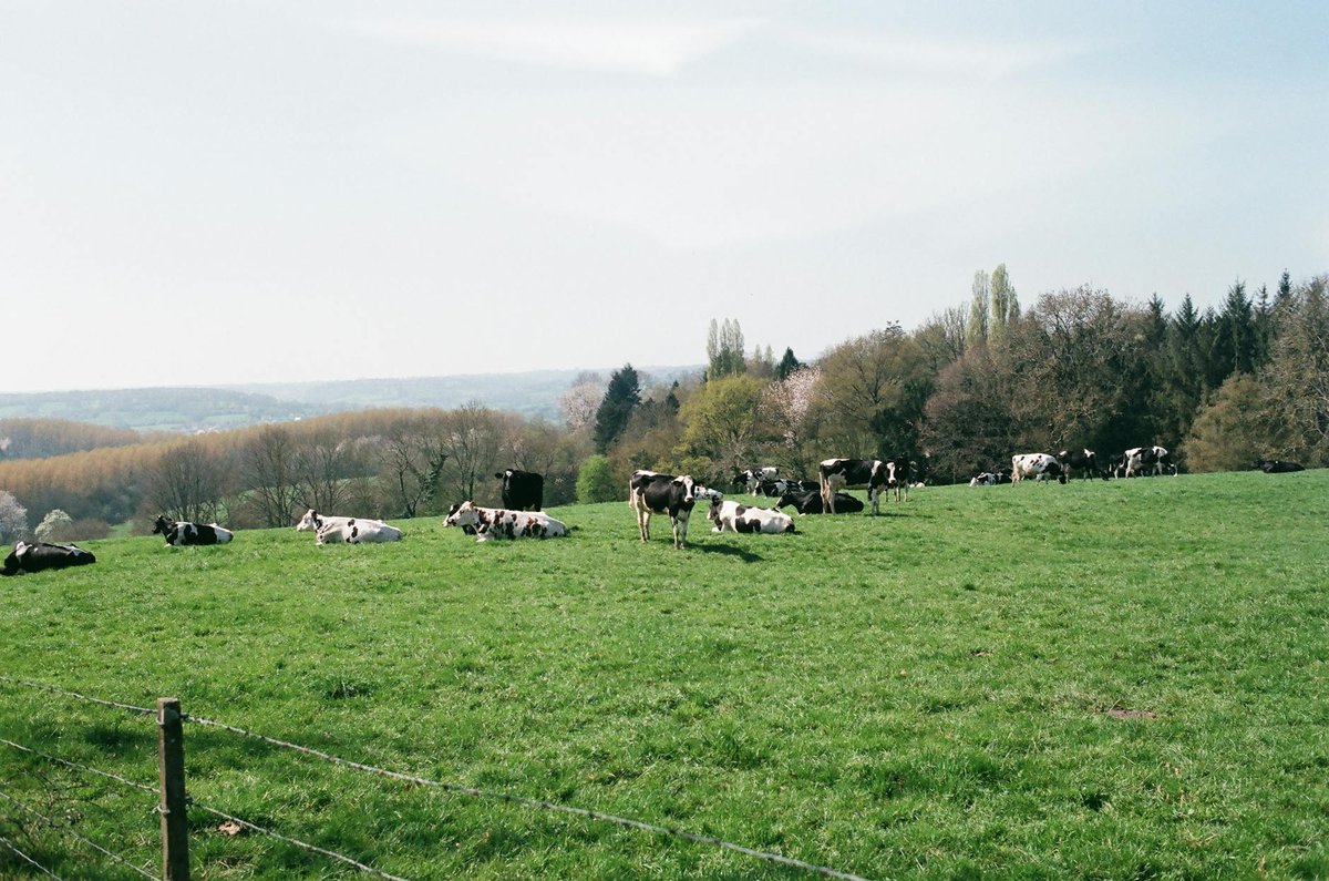 Seine-et-Marne