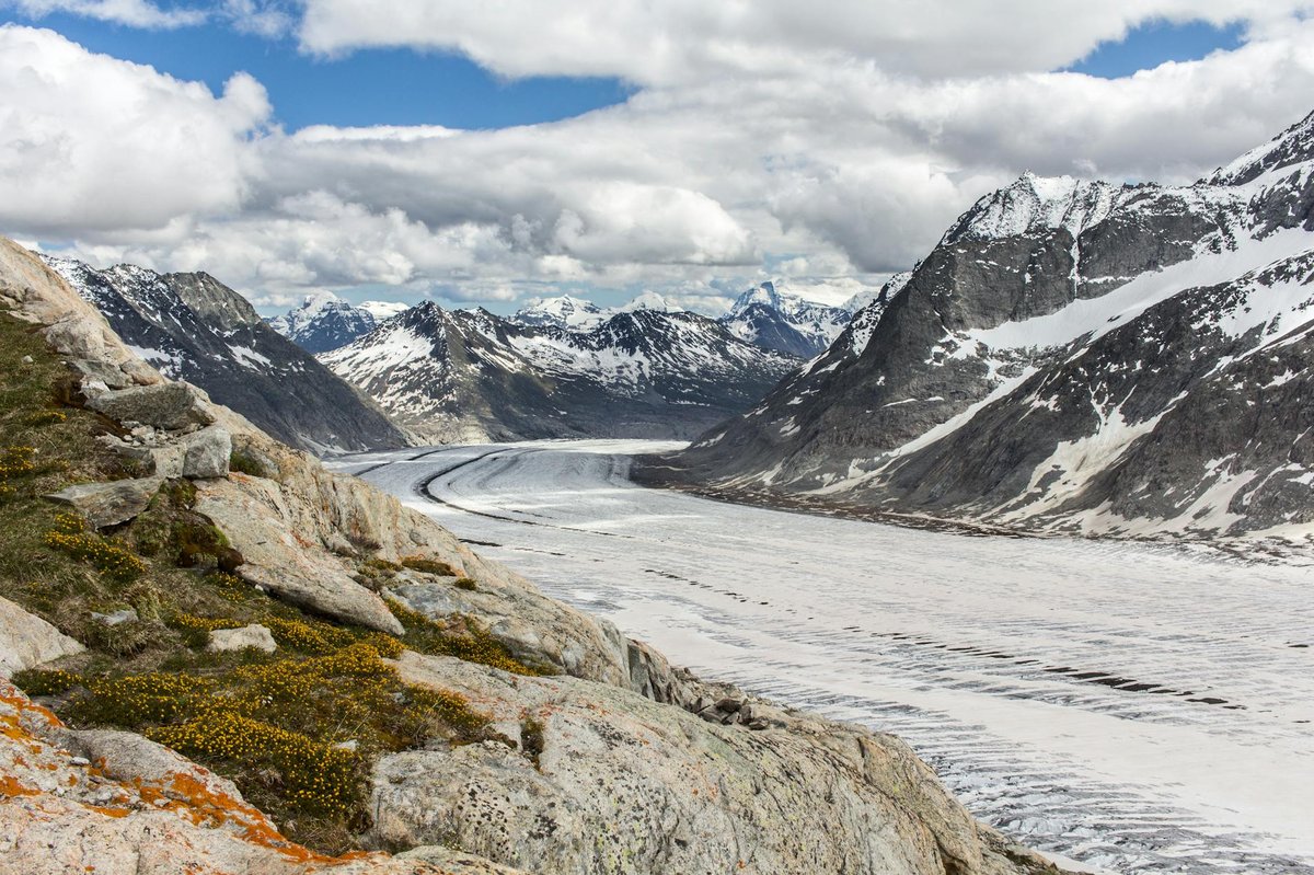 Brunegg Glacier