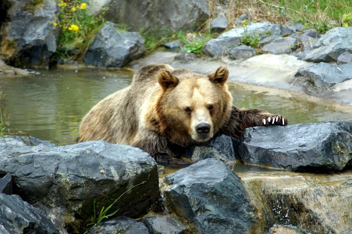 Big Bear Falls