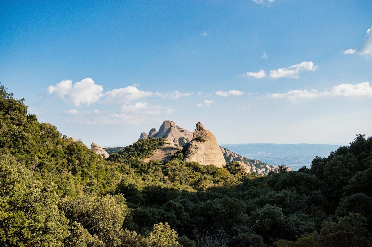 Grotta dei Cavalli