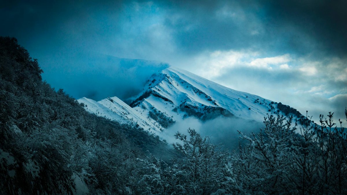 Vitelli Glacier