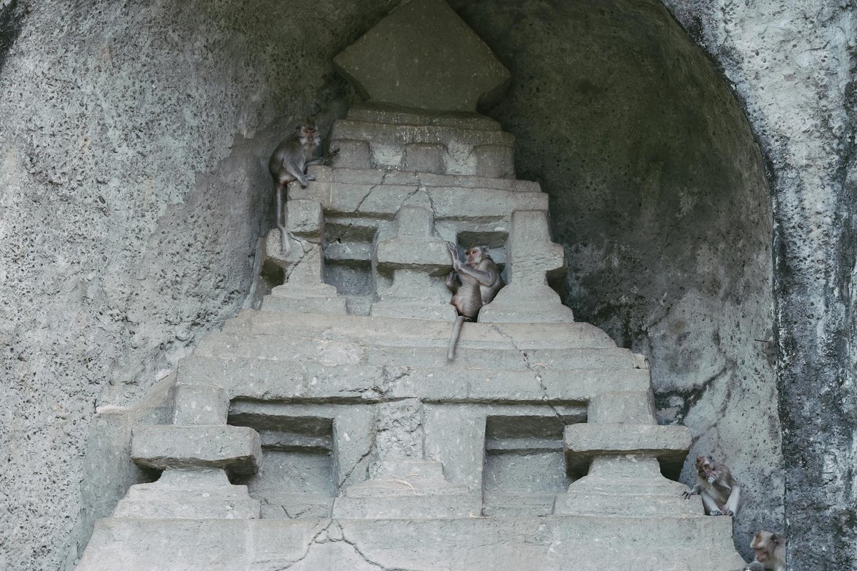 Macaque Cave