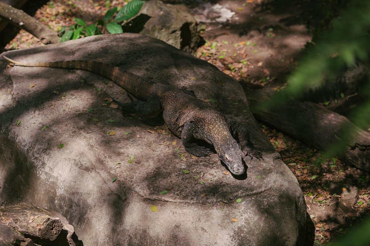 Saanane Island National Park