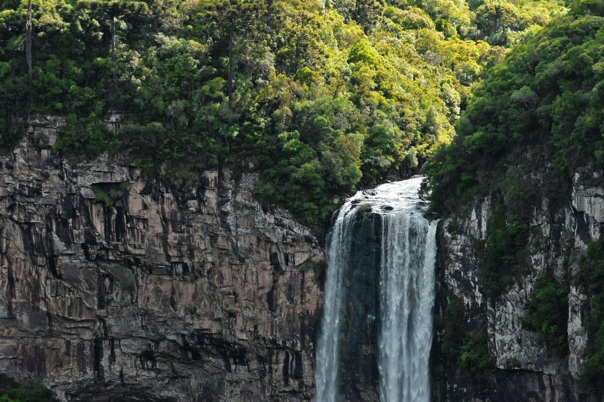 Monte Roraima National Park