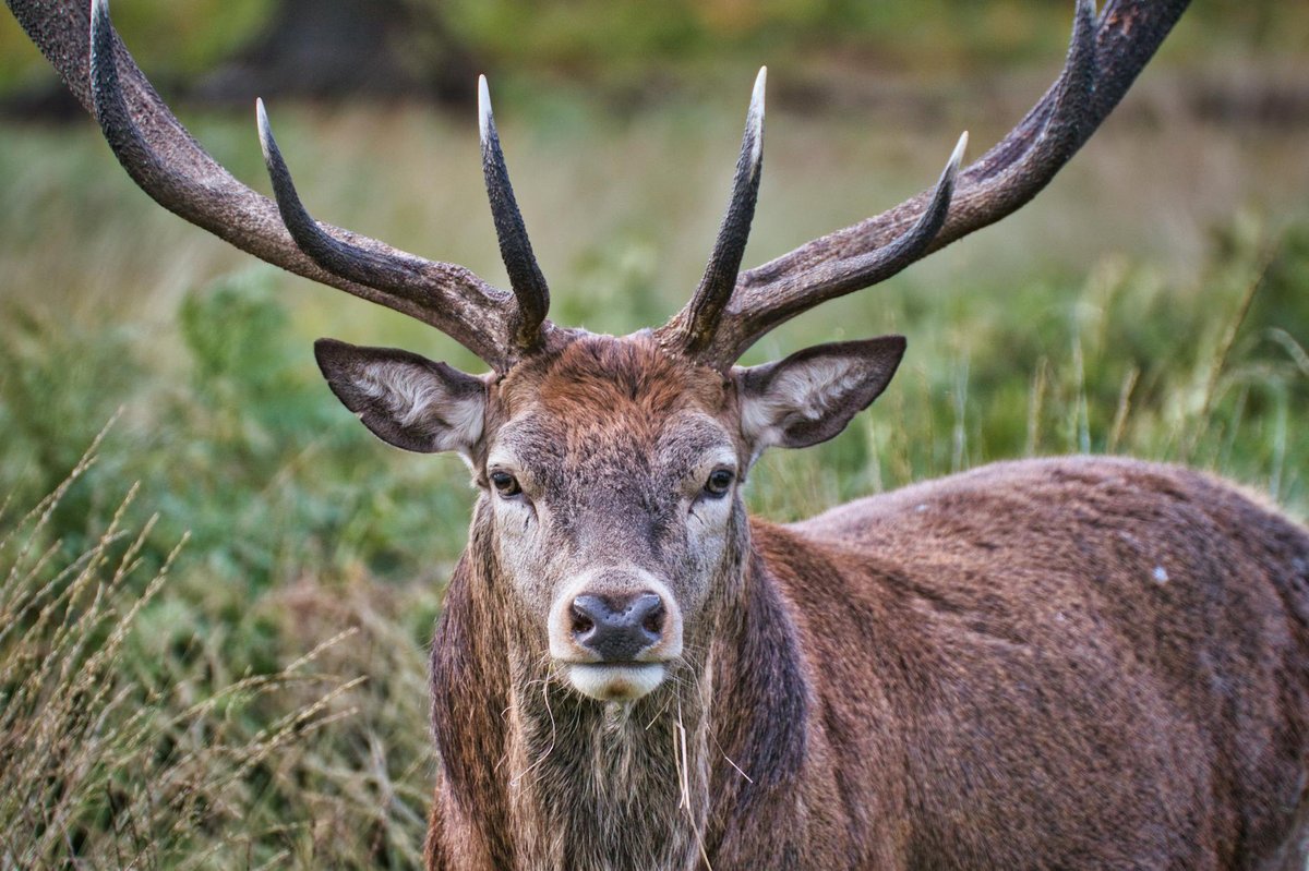 Haut Atlas Oriental National Park