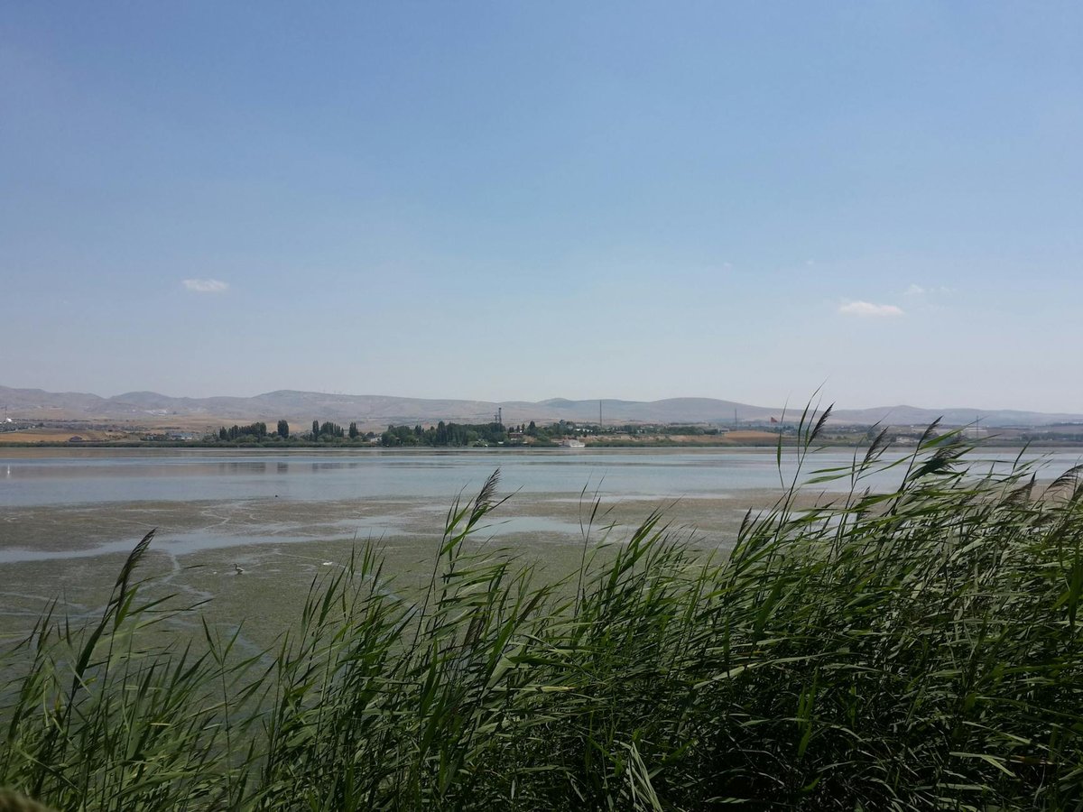 Ardan Lough