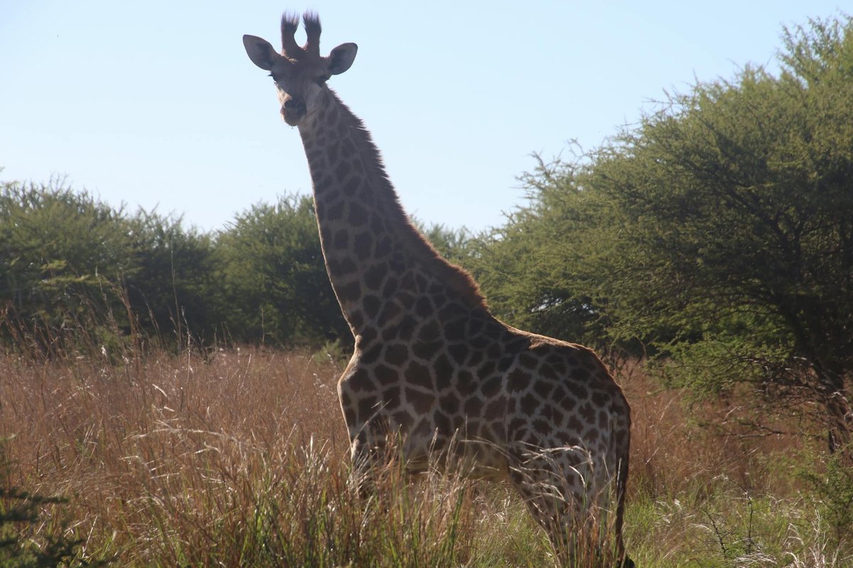 Tula National Park