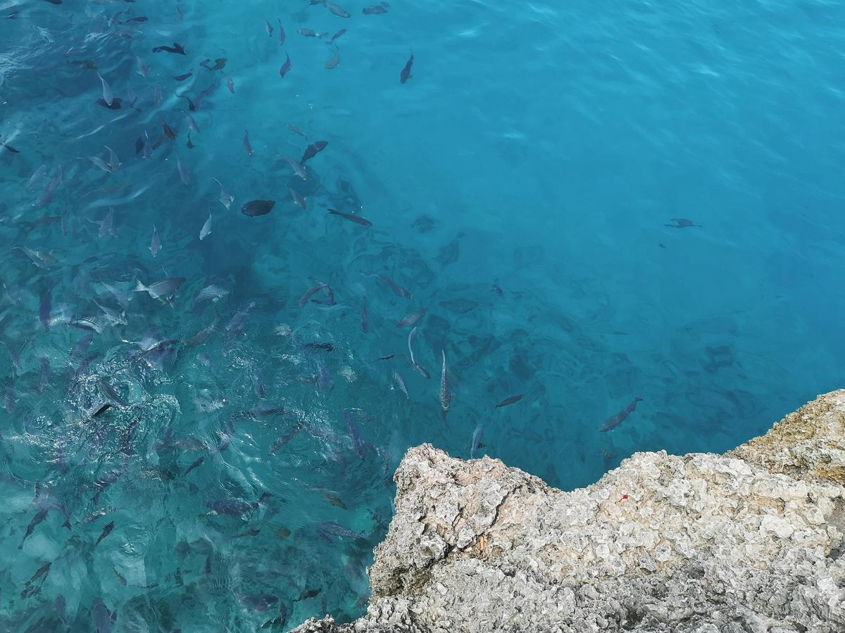 Rosario and San Bernardo Corals National Natural Park