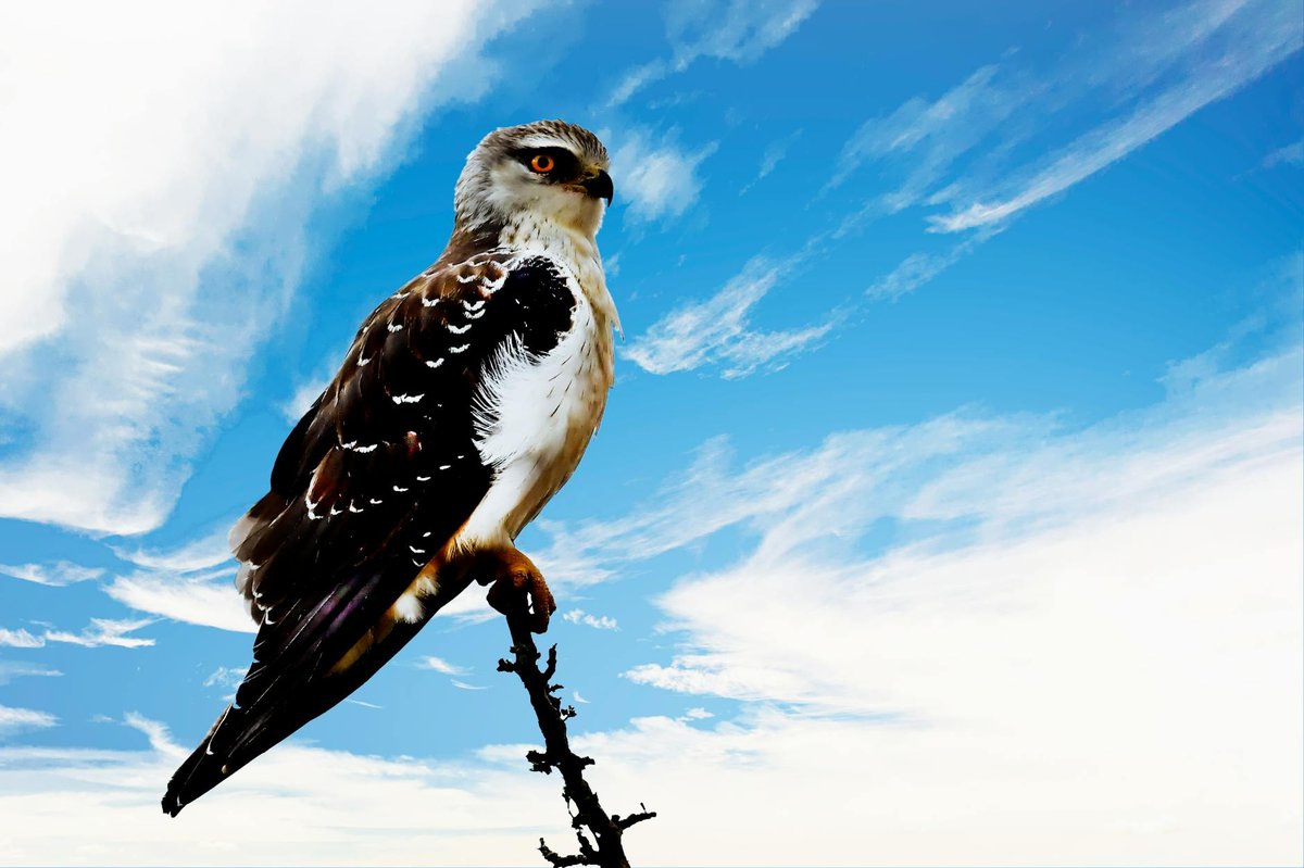 Tankwa Karoo National Park