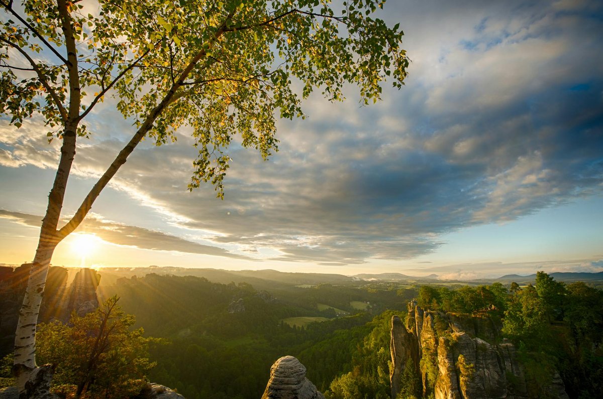 Aussichtsturm Baumkronenpfad