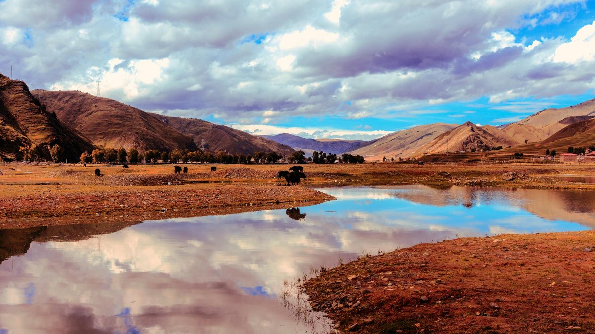 Danau Dipo