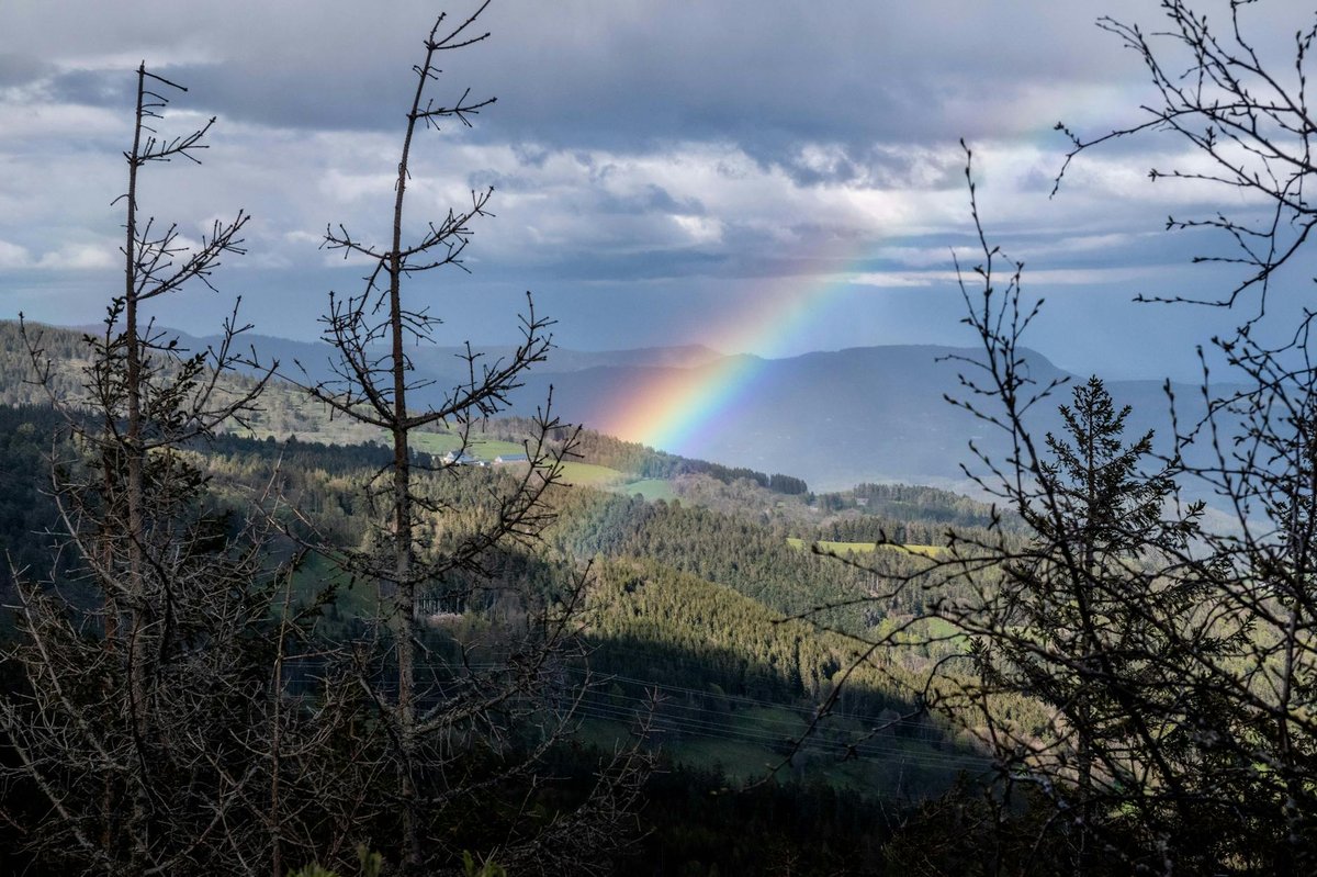 Vosges