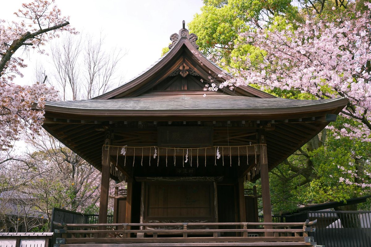 Kejo Numa