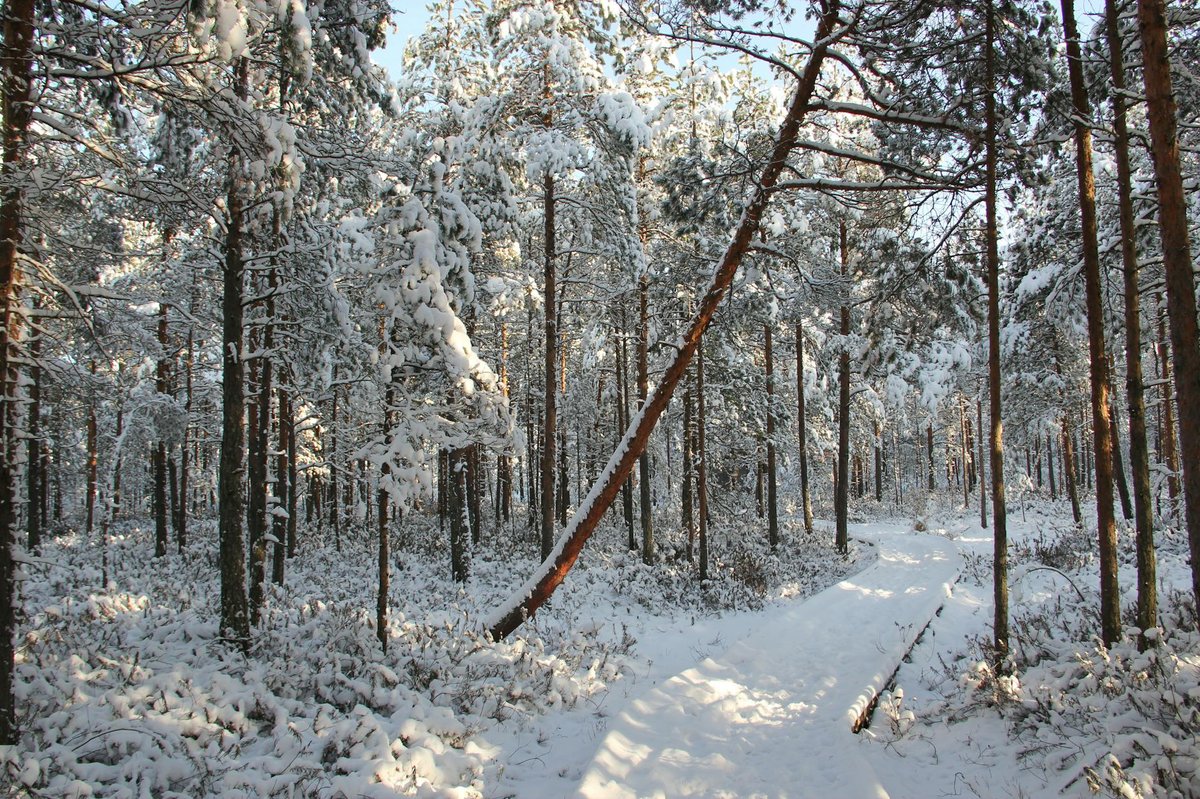Aalistunturi