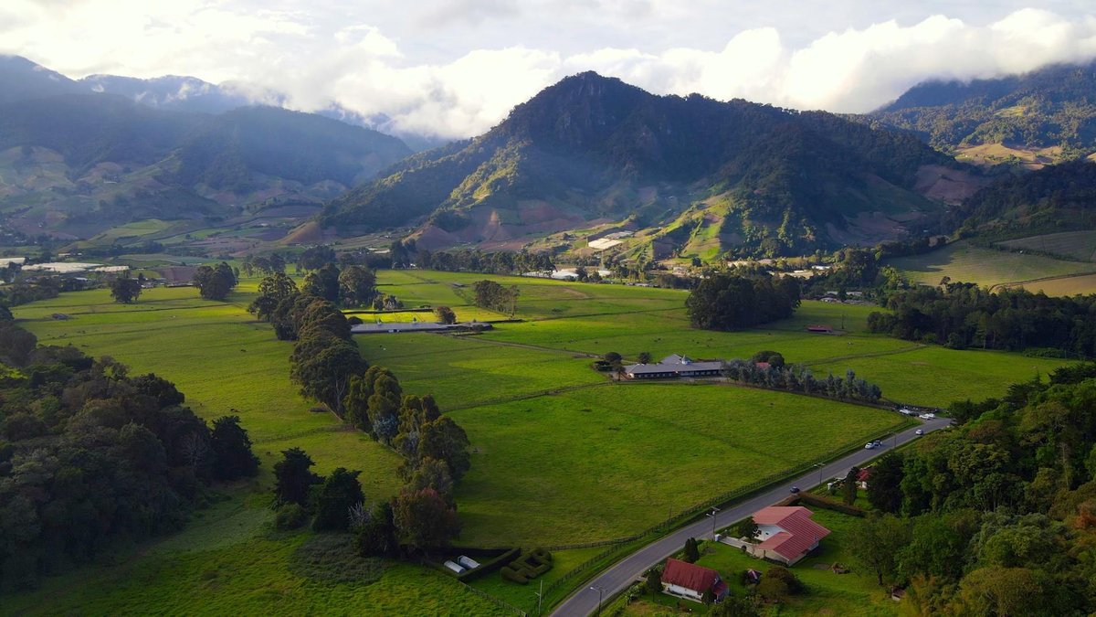 Cerro Puntas