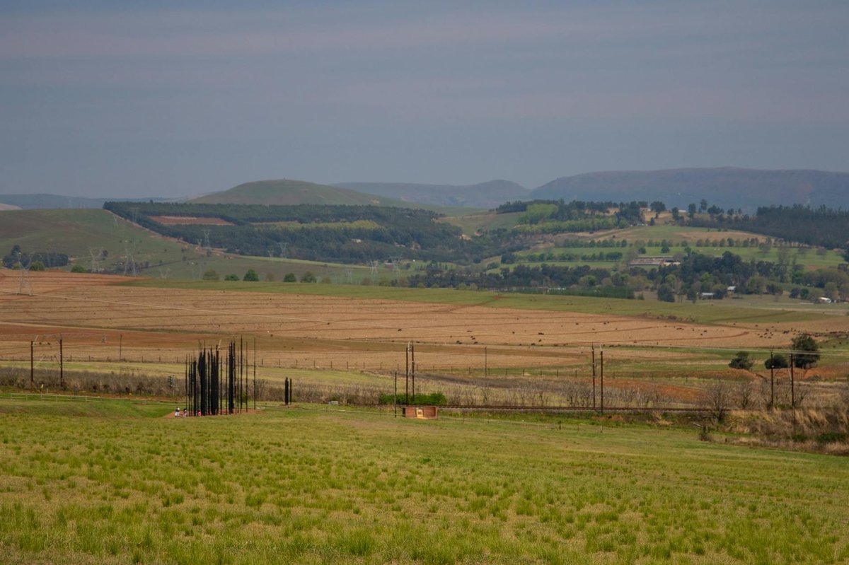 Bachelor's Hill