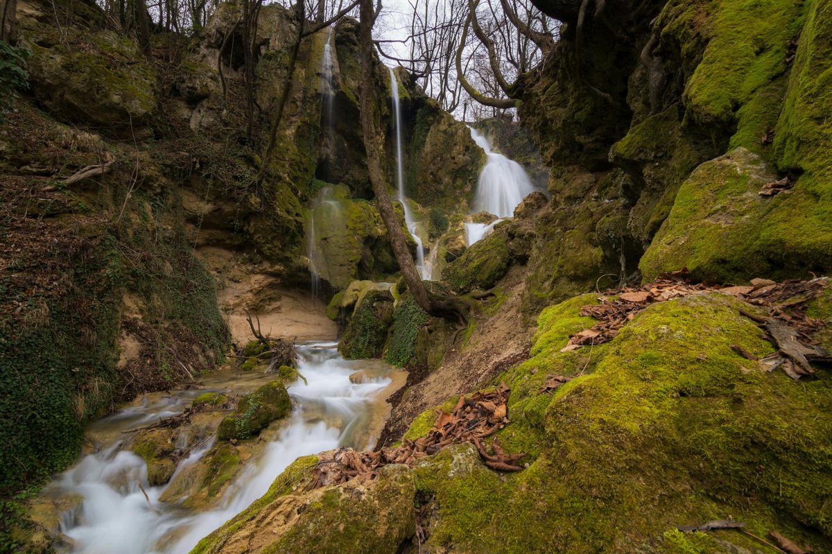 Döda fallen
