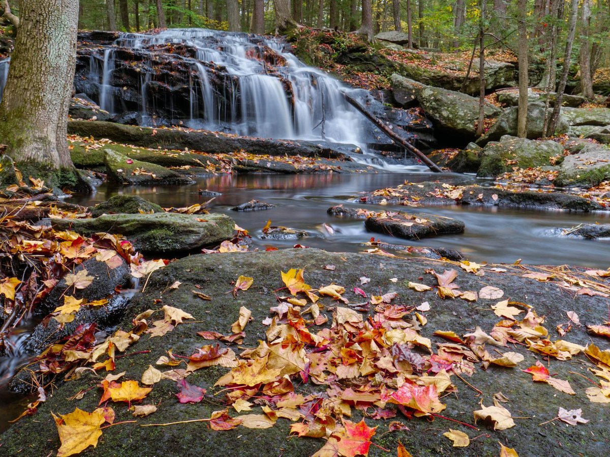Clumber Cascade