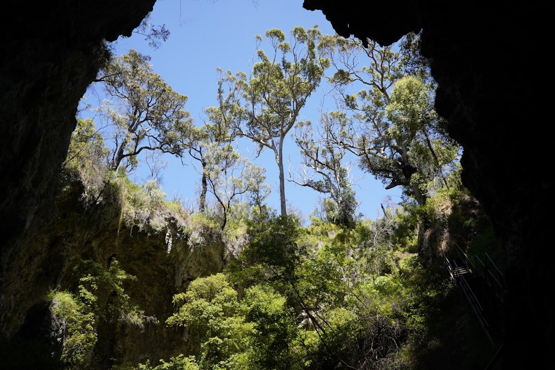Pine Tree Caves